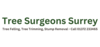 Tree Surgeons Surrey